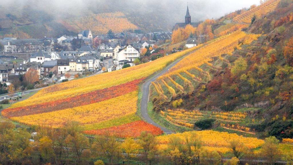 Apartment Happy Mosel Cochem Eksteriør billede